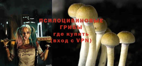 спиды Алексин