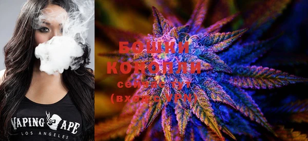 PSILOCYBIN Алзамай