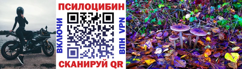 продажа наркотиков  Талдом  Галлюциногенные грибы Magic Shrooms 